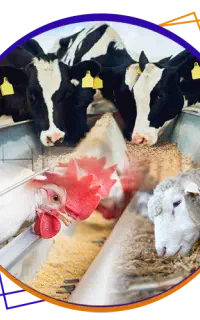 استخدام مدیرفروش با تجربه خوراک دام و طیور