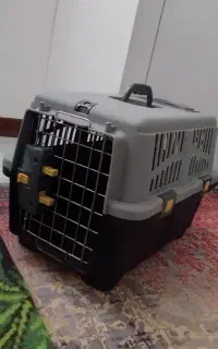 باکس حمل گربه و سگ