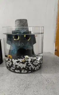 آکواریوم رومیزی