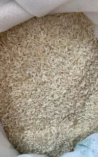 میانباری طارم ۶۰ ۷۰ درصد برنج سالم