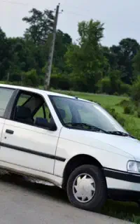 تک نک کلکسیونی در ایران