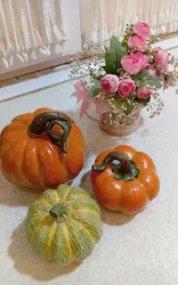 کدوی تزیینی پاییزی