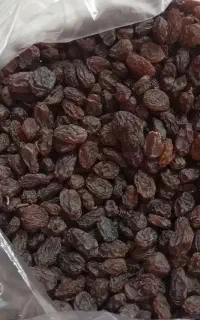 عرضه مستقیم و عمده کشمش ومویزآفتابی تاکستان.