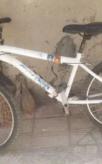 دوچرخه 24 کارکرده