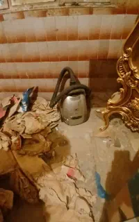 جارو برقی