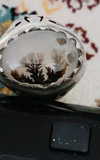 انگشترشجرتک درخت فوق کلکسیونی معاوضه