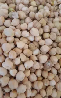 نخوددرجه یک