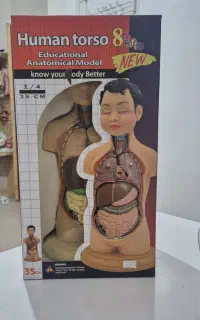 مولاژ بدن انسان