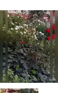 دورهمی مخصوص بانوان ۲۲ مهر