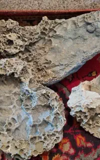 وسایل آکواریم