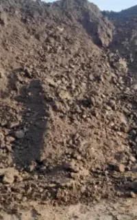 کود گوسفندی