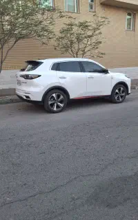 فروش چانگان  سالم