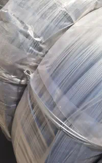 نیروکار اتباع