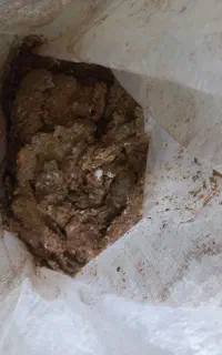 کود بوقلمون و مرغ