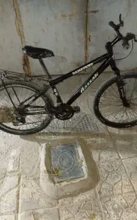 دوچرغه