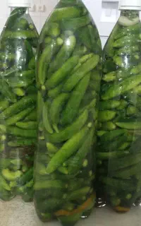 خیارشور