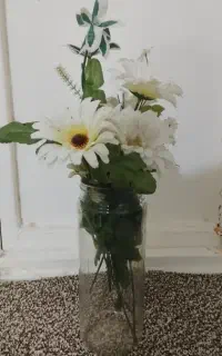 گل داودی