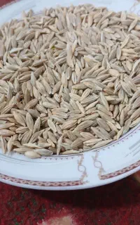 فروش جومحلی