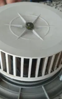 موتورهود