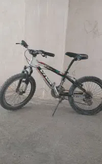 دوچرخه ویوا