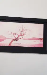 قاب عکس ارزان