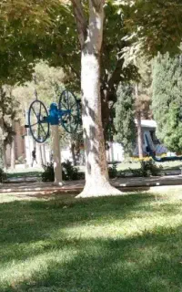 آموزش ورزشی