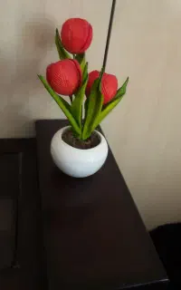 گل روز گل لاله