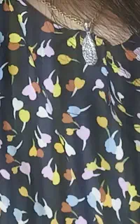 پلاک گمشده