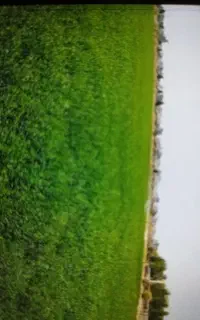 راننده تراکتور ماهر  به کاربا ادوات برداشت یونجه