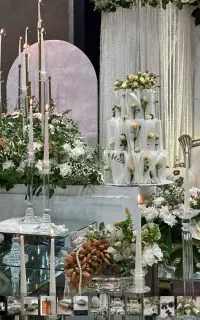 تالار عروسی و خانه عقد و تولد ائل گلی