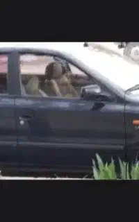 سمند lxمدل ۹۱