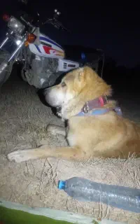 میکس خراسانی و افغانی ۱۱ ماه