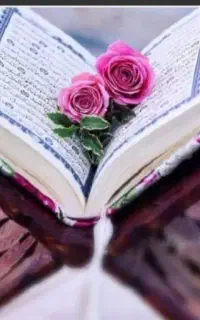 سرکتاب حل مشکلات