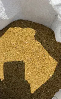 بذر یونجه حاجی کوشش ضمانتی