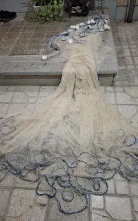 تور ماهیگیری