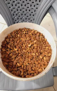 فروش بادام سنگی
