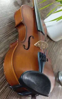 ویولن رناتو