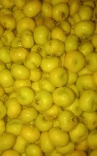 مجلات .تازه فقط کیلویی68