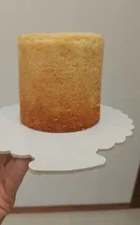 داوطلبانه