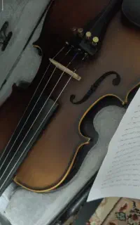 ویالون ساز