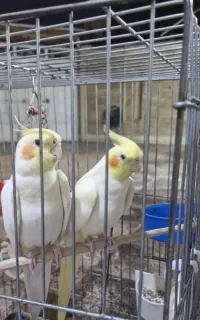 حدود یک ماه ونیم خلیج فارس ده گم شد