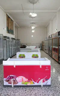 یخچال فریزر ۴۳۰لیتری تکنوسان