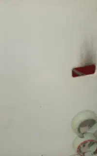 آبگرمکن دیواری بوتان