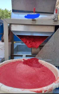 آبگیری گوجه آب گوجه گیری سیار درب منزل شما
