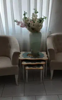۷ نفره چستر بهمراه میز پذیرایی