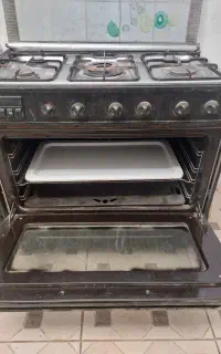 فرگاز