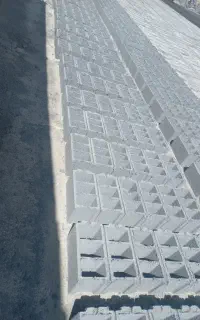 پخش بلوک