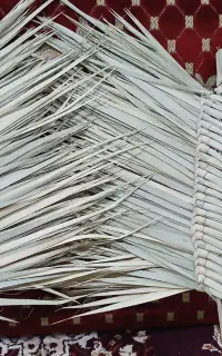 جارو دستی