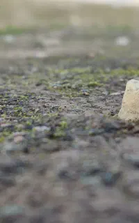 لوله باز کنی فنر زنی تخلیه چاه ارزان فوری