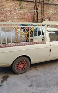 سمپاشی باغ باغچه و بوستان و حیاط